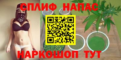 молекула духа Ставрополь