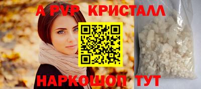 молекула духа Ставрополь
